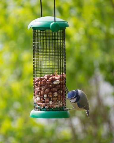 Photo by drookitscot