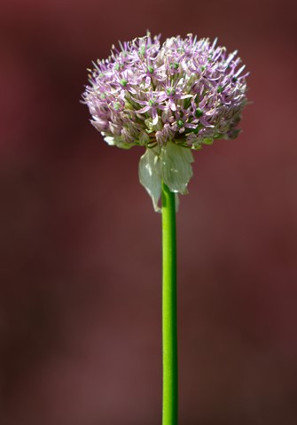 Photo by mreservices