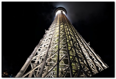 Photo by Great Bustard