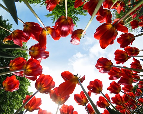 Photo by jonestheroad