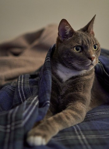 Photo by BrentSchumer