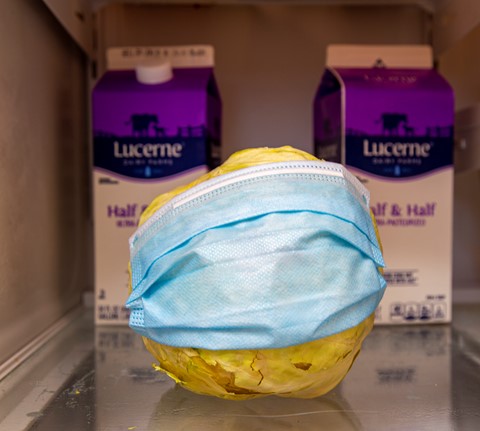 Photo by Dart Humeston