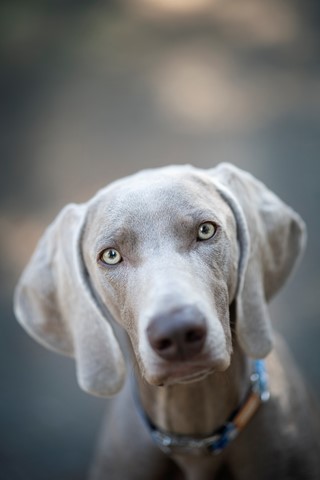 Photo by Maggie May1978