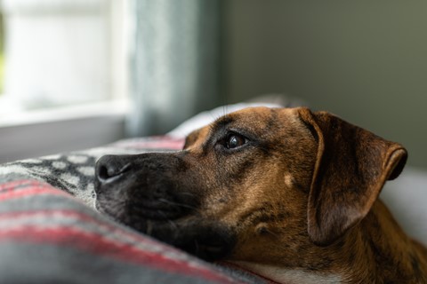 Photo by Monday Morning Blues