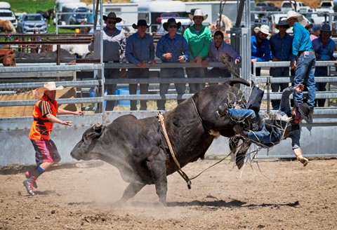 Photo by photobob1950