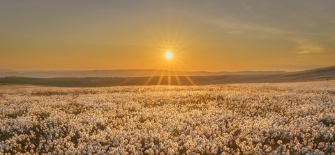 Photo by mikedelderfield