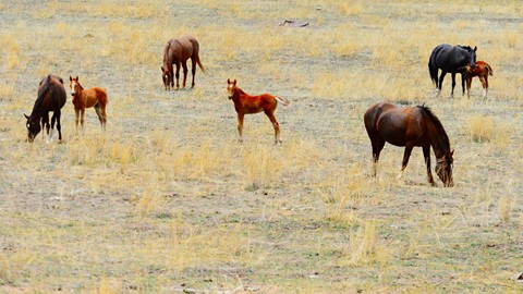 Photo by abiquiuense