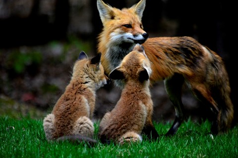 Photo by User5717333393