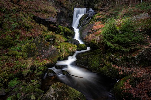 Photo by Drei Loewen