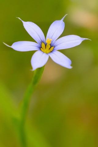 Photo by mreservices