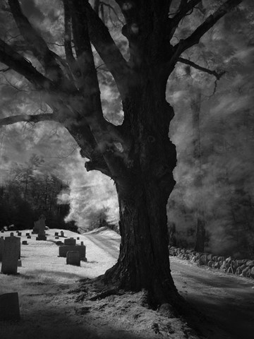 Photo by Freddy Mercurio