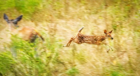 Photo by TX Photo Doc