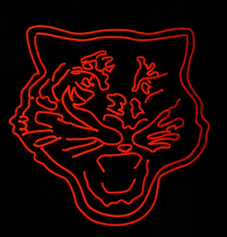 Photo by Fierce Feline