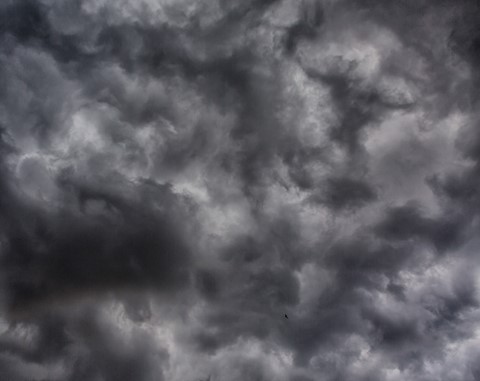 Photo by Mike Engles