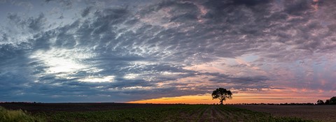 Photo by stevewhitemd