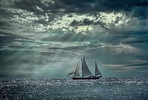 Photo by Mitchmeister