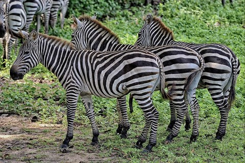 Photo by Yegordremov