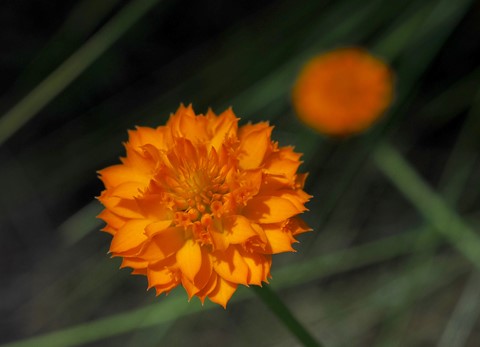 Photo by MacroDonata