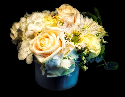 Photo by TX Photo Doc