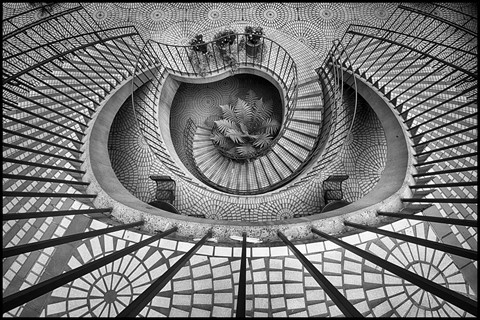 Photo by birdofthegalaxy