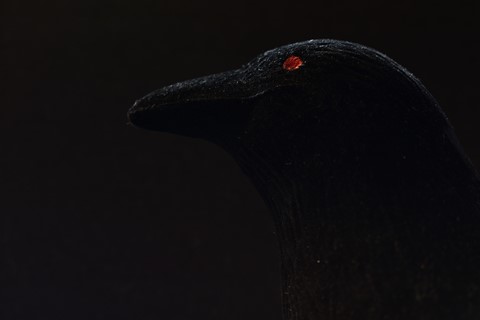 Photo by jonestheroad