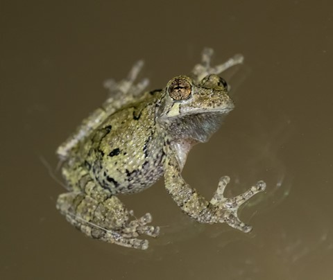 Photo by MFranko_734