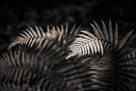 Photo by themountainphotographer