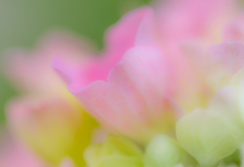 Photo by Mike Engles