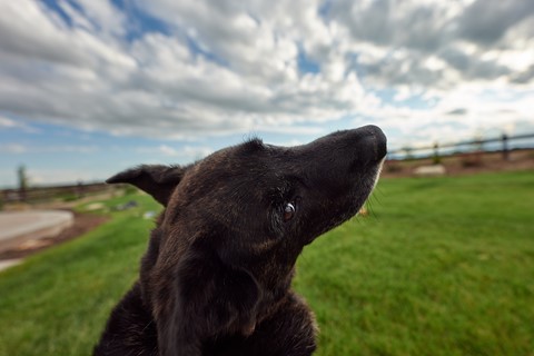 Photo by georgehudetz