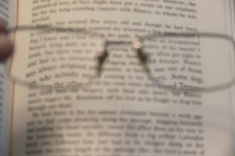 Photo by My Eyes Are Fine. I Don't Need New Glasses!