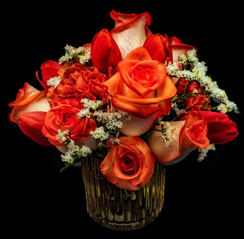 Photo by TX Photo Doc