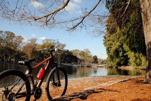 Photo by Santi Juarez