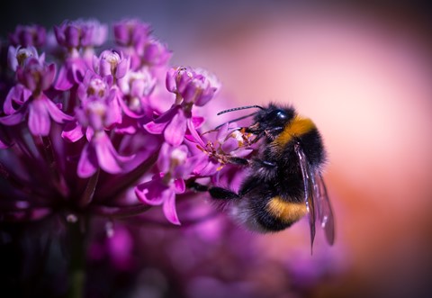 Photo by Working overtime