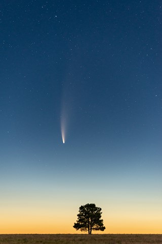 Photo by Bill Ferris