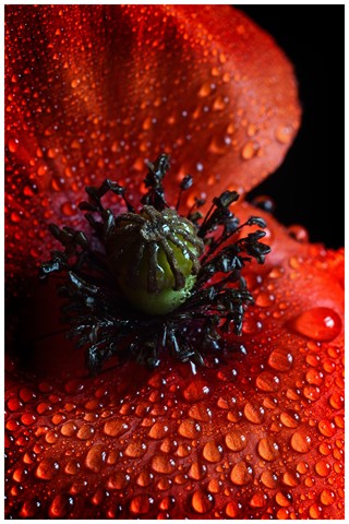 Photo by jonestheroad