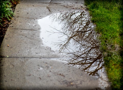 Photo by Eyefull Tour