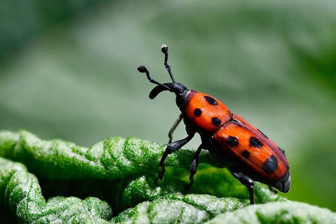 Photo by mreservices