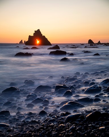 Photo by William Frohne