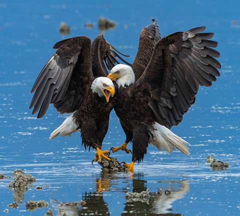 Photo by TinfoilCamera