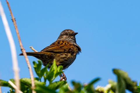 Photo by Anthony Teasdale