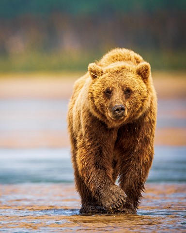 Photo by Marianne_Barnett