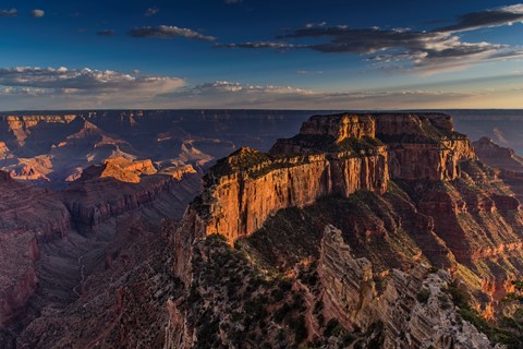 Photo by landscaper1