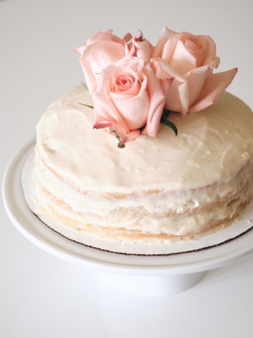 Photo by dnlreichert