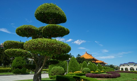 Photo by BrentSchumer