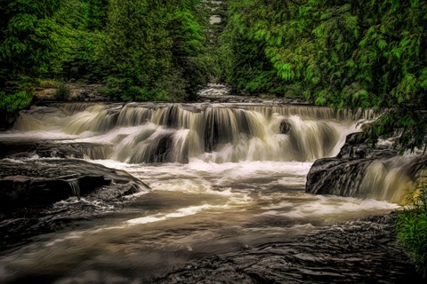 Photo by James Korringa