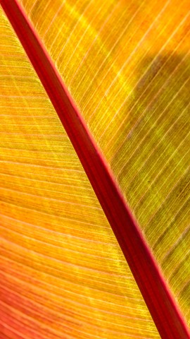 Photo by Mike Engles