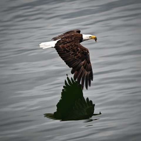 Photo by itsallBb2me