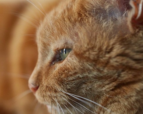 Photo by catastrophe