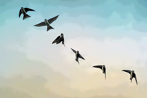 Photo by CharlieGMorr