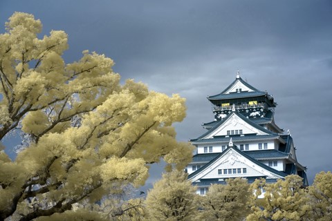 Photo by Osaka Castle 2